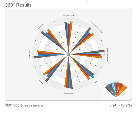 360 degree performance assessment results